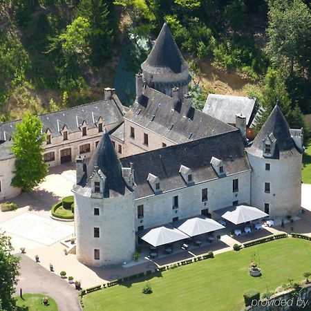 ホテル シャトー ラ フルニー Condat-sur-Vezere エクステリア 写真