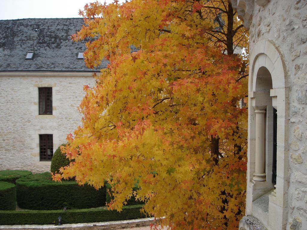 ホテル シャトー ラ フルニー Condat-sur-Vezere エクステリア 写真