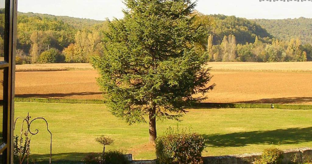 ホテル シャトー ラ フルニー Condat-sur-Vezere 部屋 写真