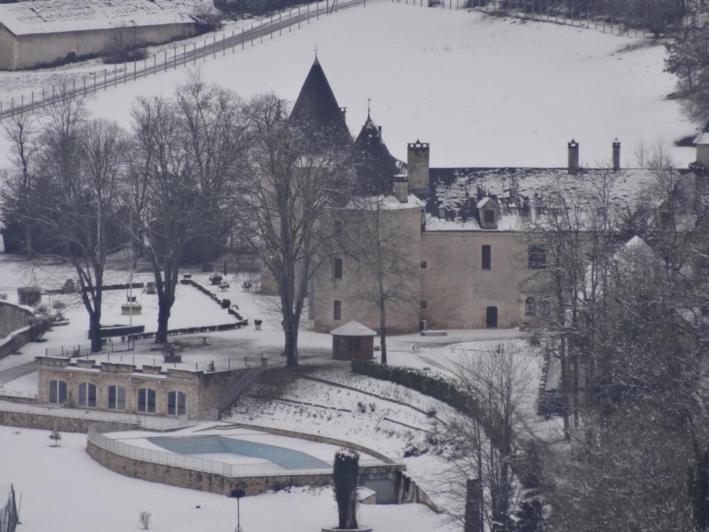 ホテル シャトー ラ フルニー Condat-sur-Vezere エクステリア 写真